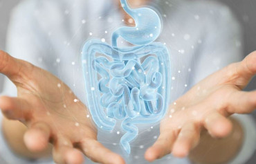 Tinh bột kháng là gì mà có lợi cho hệ tiêu hóa và ngừa nhiều bệnh?