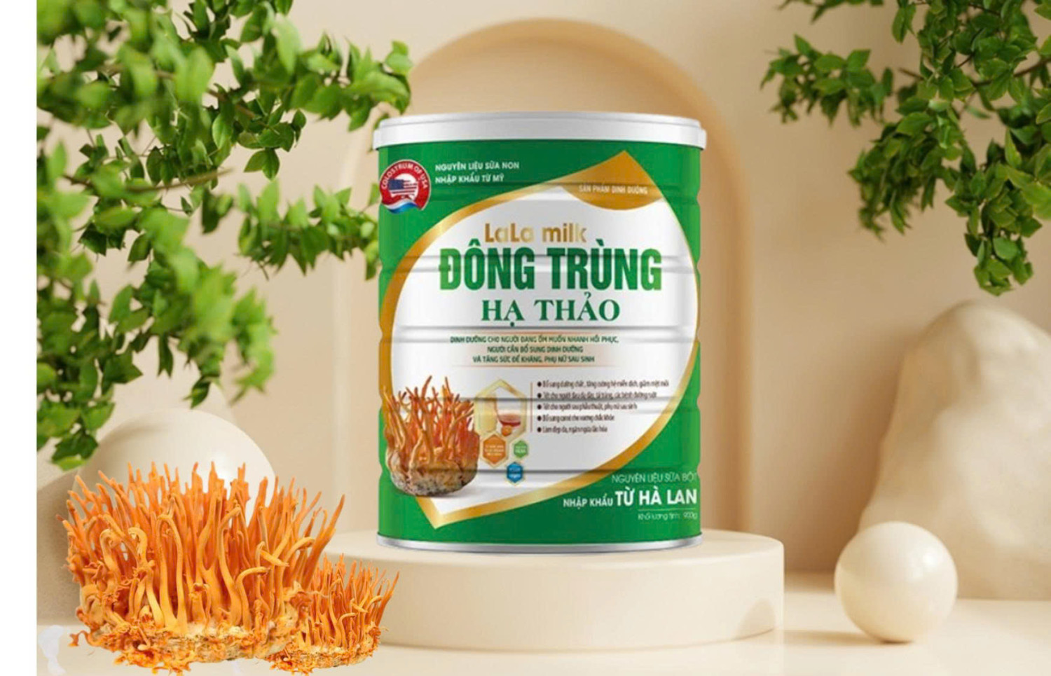 LALA MILK Đông Trùng Hạ Thảo